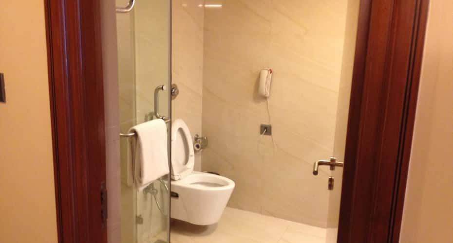 فورتشن بارك فالبها حيدر اباد, Hyderabad 3